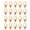 Gold, variant on Rupoun 20Pcs D Ring Rivet Metal Decorative Rivet Set for Belt Handbag Leather Products Handicrafts Gold 10x17mm (0.39x0.67 in) Essential DIY Leather Making Accessories Supplies