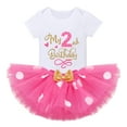 thumbnail image 3 of IBTOM CASTLE Toddler Baby Girls Cake Smash First Birthday Outfits Polka Dots Romper Tulle Dress Mouse Ear Princess Clothes 2 Years Hot Pink - My Birthday, 3 of 8