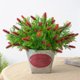 thumbnail image 5 of Gwong Decoración hogareña 1 UNID Artificial Americano Berry Flower Simulación Planta Accesorio de pared Decoración del hogar Gwong 21051592, 5 of 7