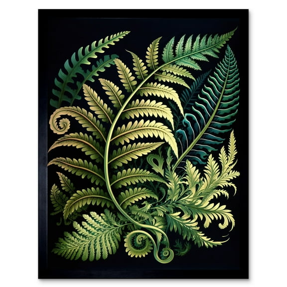 Ernst Haeckel Style Fern Fronds Leaf Illustration Art Print Framed Poster Wall Decor 12x16 inch