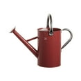 thumbnail image 1 of Regadera de acero inoxidable para plantas de 5 l para uso interior y exterior con pulverizador fino rojo, 1 of 9