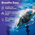 thumbnail image 3 of Lung Capaci-T - Respiratory Support Supplement - CoQ10, N-Acetyl Cysteine, Boswellia, Eucalyptus, Mullein, Green Tea, Nettle & Peppermint - Increases Oxygen Capacity & Reduces Mucus - 90 Capsules, 3 of 7