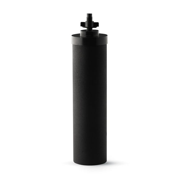 iSpring Water Systems iSpring FDGF2 Activated Carbon Water Filter for iSpring DGF2 Gravity-fed Stainless Steel Countertop Water Filter System