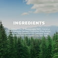 thumbnail image 5 of Dr. Squatch Pine Tar Natural Bar Soap for Men, 5 oz, 5 of 9