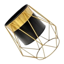 Hytrove Space Saving Iron Planter with Stand for Succulent Flowerpot 1Set