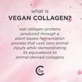 thumbnail image 4 of Set de cuidado de la piel Pacifica Beauty, crema facial vegana con colágeno, 2 unidades, 4 of 6