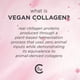 thumbnail image 4 of Set de cuidado de la piel Pacifica Beauty, crema facial vegana con colágeno, 2 unidades, 4 of 6