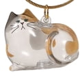 thumbnail image 3 of Botella Almacenamiento Gato Caja Transparente (estilo B), 3 of 9