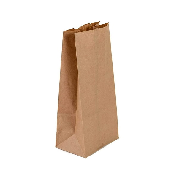 AME D'ESSENCE (#6-100 pcs) Kraft Brown Paper Bags Reusable Grocery Bags Great Gift Bag Recyclable Shopping Bags Lunch Snack Bags Size (6.0" L x 3.7" W x 10.75" H)