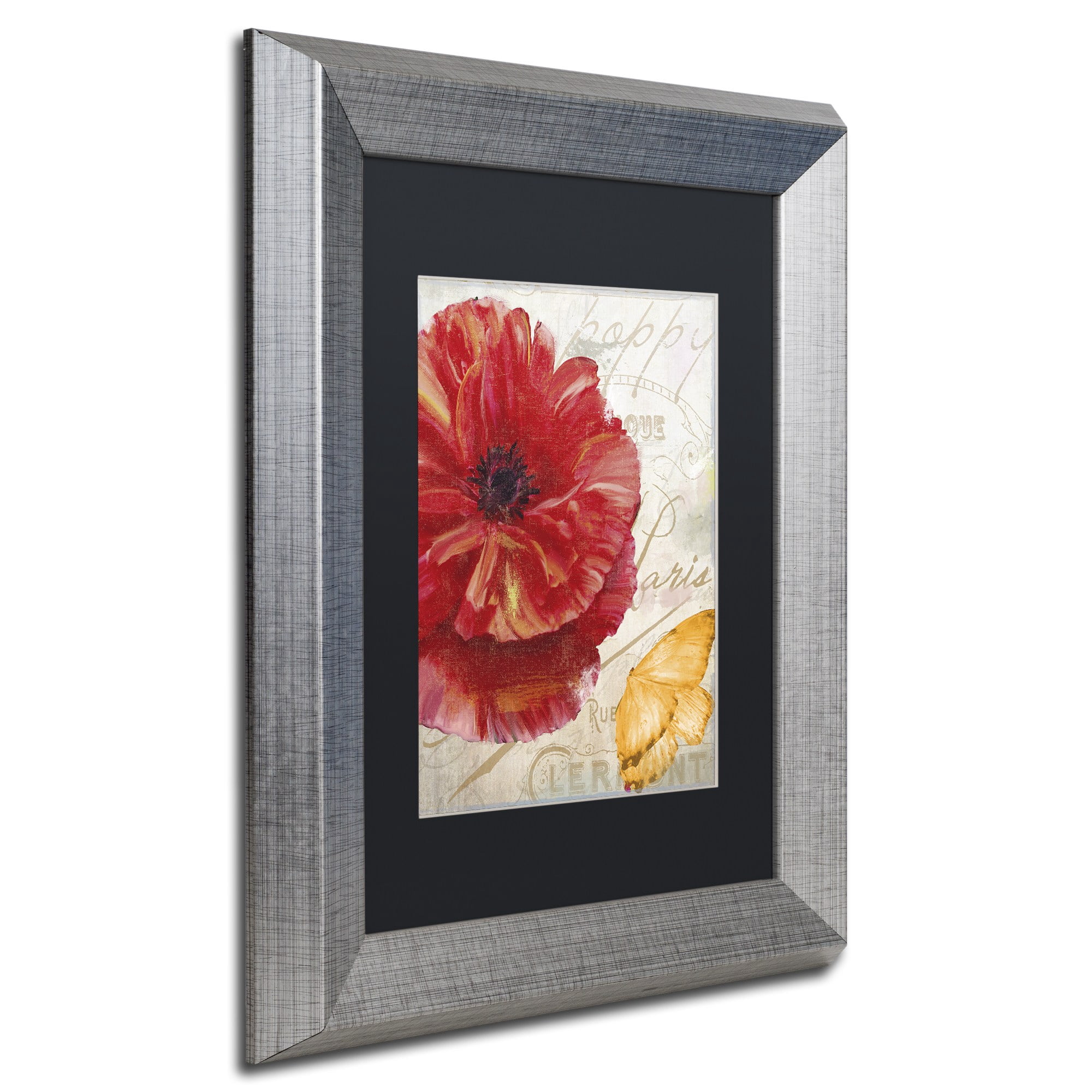 Trademark Fine Art "Red Poppy" Canvas Art by Color Bakery, Black Matte, Silver Frame