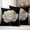 White Black, variant on Flower Black Outdoor Waterproof Pillow Covers, Gold White Abstract Floral Aesthetic Decorative Square Throw Pillowcase Sofa Cushion Sham for Patio/Couch/Chair, 24"x24" 2 Pack