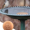 thumbnail image 1 of Bird Feeders For Outdoor Use Copper Bird Bath Cleaner With Protective Coating For Optimal Water Quality Durable And Easy To Maintain Bird Watering Station Metal Tube Feeder Caged Feeders Cool Feeders, 1 of 3