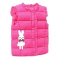 thumbnail image 3 of XXWXYD Child Kids Toddler Baby Boys Girls Sleeveless Reversible Vest Cute Cartoon Winter Solid Outerwear Outfits, Warm Comfortable Casual Daily Wear for Cold Weather, 3 of 6