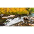 thumbnail image 2 of Bishop, Russ 14x10 Gold Ornate Wood Framed with Double Matting Museum Art Print Titled - Fall color along Bishop Creek-Inyo National Forest-California-USA, 2 of 4