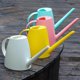 thumbnail image 2 of arrosoir De Jardin En Plastique 1,8l Rose Avec Douche Amovible Arrosoir Pour Fleurs Plantes Succulentes, 2 of 4