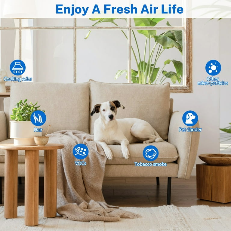 Honeywell hpa100 filters deals