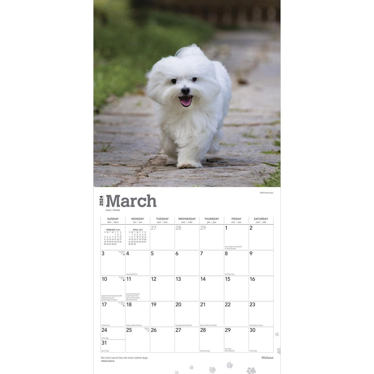 BrownTrout Maltais 2024 Mur Carré 30.48x60.96 CM, 9781975463830