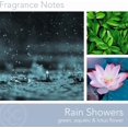 thumbnail image 2 of CAROLINA Rain Showers Bougie en Pot Aromathérapie Parfumée, Collection Bien-être, 16 oz, Blanc, 2 of 6
