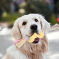 thumbnail image 1 of Durable Interactive Dog Chew Toy for Aggressive Chewers Long Lasting Bone Design Promotes Health and Playful Engagement for All Sized Dogs, 1 of 5