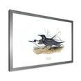 thumbnail image 2 of Designart 'Ancient Bird Of Europe II' Traditional Framed Art Print, 2 of 4
