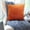 D #4, variant on Velvet Pillow Cushions - 40x40cm Sofa Chair Backrest, Waist & Head Support Pillowcases, Soft Plush Fabric, Decorative Home Accent Pillows