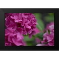thumbnail image 2 of Crane, Rita 24x17 Black Modern Framed Museum Art Print Titled - Pink Hydrangeas I, 2 of 5