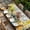 Beige, variant on Spring Table Cloths for 6 Foot Rectangle Tables, Brown Vintage Birds Cages Eggs Flowers Herbs Patio Waterproof Elastic Fitted Tablecloths, Washable Rectangular Table Cover for Camping