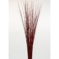 thumbnail image 2 of Green Floral Craft | 90-100 Stem Dried Asian Willow Decorative Branches 4-5 Feet Tall Floor Vase Filler (Wine Red), 2 of 5
