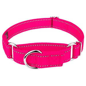 Country Brook Petz Reflective Martingale Dog Collar, Hot Pink