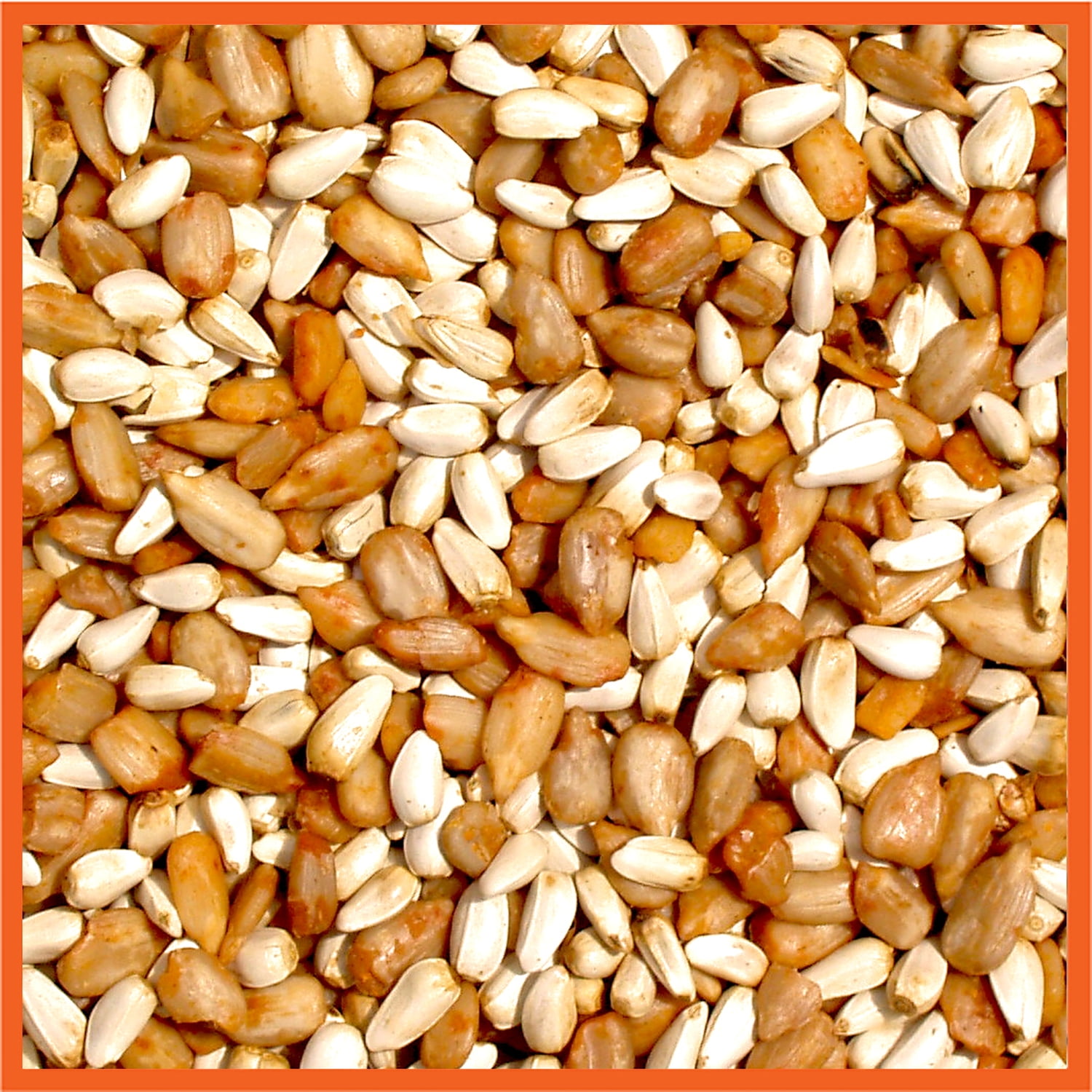 Cole's CB20 Cajun Cardinal Blend Bird Seed, 20-Pound