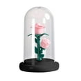 thumbnail image 2 of Preserved Florals Night Light | Mini LED Ambient Lamp | Warm Soft Glow for Home Decor, Bedroom, Desk, Festive Accent | 4.33 x 7.09 in | Eco-Friendly, Battery Operated, 2 of 6