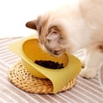 thumbnail image 3 of Kripyery Cats Bowl No Spill Non-Skid 15 Degree Inclined Design Smooth Edges Large Capacity Holder Food Grade Pet Food Feeder Bowl Pet Supplies, 3 of 7