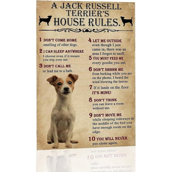 Metal Sign A Jack Russell Terrier's House Rules Vintage Signs Retro Aluminum Tin Sign for Kitchen Office Home Bar Cafe Wall Decor 8x12 Inch