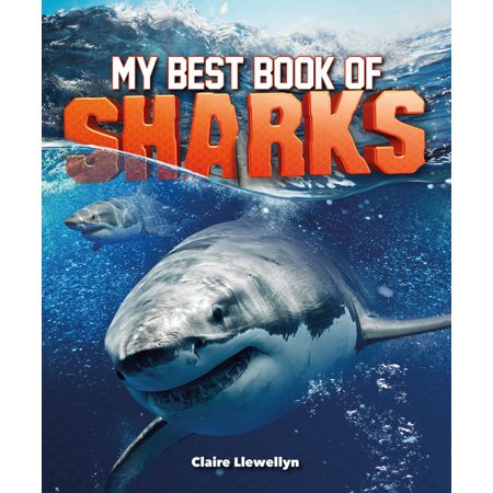 My Best Book of Sharks (The Face Shop Best Products Review)