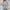 Blue, variant on NTACZA Striped Tops for Women Trendy Knitted Cotton Beige Crew Neck Batwing Tank Sweater Womens Tunics