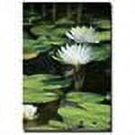 Trademark Fine Art "Lovely Lilies" Canvas Art by Patty Tuggle