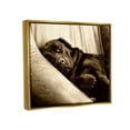thumbnail image 5 of Stupell Industries Cuddling Labrador Dog Sleeping Cozy Sepia Photography Photograph Metallic Gold Floating Framed Canvas Print Wall Art, Design by James Dobson, 5 of 5