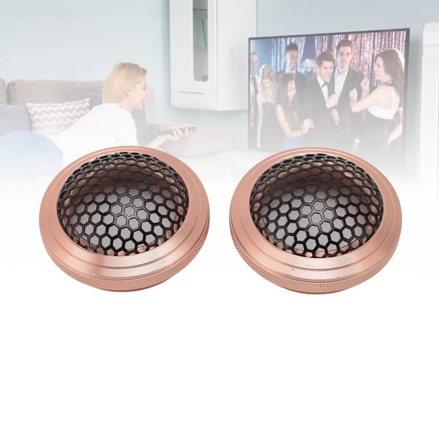 2 Pcs Haut-Parleur en Métal Résistant aux Chocs Housse de Grill Ronde, pour Maison Voiture Bateau, avec Housse de Protection en Maille