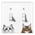 thumbnail image 1 of WIRESTER 2-Gang Toggle Wall Plate/Switch Plate Cover, Animal White Silver Point Ragdoll Maine Coon Cats, 1 of 6