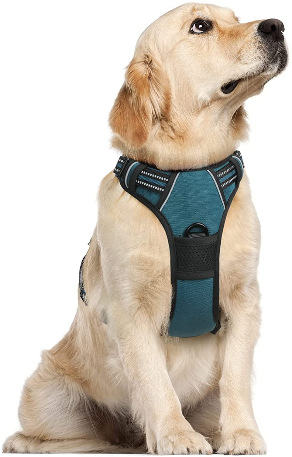 rabbitgoo Dog Harness, NoPull Pet Harness with 2 Leash Clips