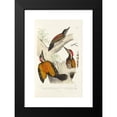 thumbnail image 2 of Alfred Malherbe 11x14 Black Modern Framed Museum Art Print Titled - Monograph of Picidae Pl09 (1861-1862), 2 of 5