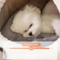 thumbnail image 3 of Tent Cat Shop Dog House Canil Enclose Accessories Indoor Supplies Furniture Dog House Teepee Home Mascotas Pet Products MR50GS ShopWise Round, 3 of 9