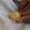 14K Rose Gold Plated, variant on Women’s 20mm Bold Signet Ring 14K Yellow Gold Plated Classic Eagle Design Ring