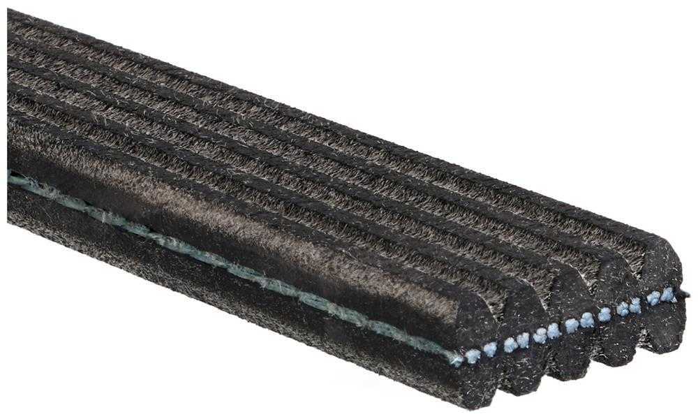 ACDelco Professional 5DK610 Dual Sided V-Ribbed Serpentine Belt Fits select: 2011-2014 VOLKSWAGEN JETTA, 2012-2014 VOLKSWAGEN PASSAT