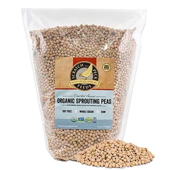 Scratch & Peck Feeds  10 lbs Clucking Good Organic Sprouting Peas Chicken & Duck Treat - 3 Count