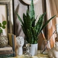 thumbnail image 4 of Artificial Snake Plants 30" Faux Agave Fake Sansevieria Artificial Silk Plant for Home Garden Office Store Decoration 4 Pcs (Yellow), 4 of 5
