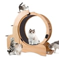 thumbnail image 5 of FYC Cat Exercise Wheel - Pets Treadmill for Cat, Run, Spin & Scratch - Carpeted Runway - Kitty Sport Toy - Reduces Boredom, Improves Fitness, 5 of 9
