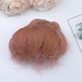 thumbnail image 3 of JoyMoreHome 100 Pcs Colorful Natural Feathers Colored Feathers for Crafts DIY Art Jewelry Making Decorations Supply, 3 of 4