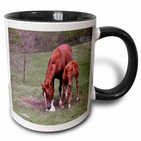 - 3dRose Mother Horse with colt - Two Tone Black Mug, 11-ounce