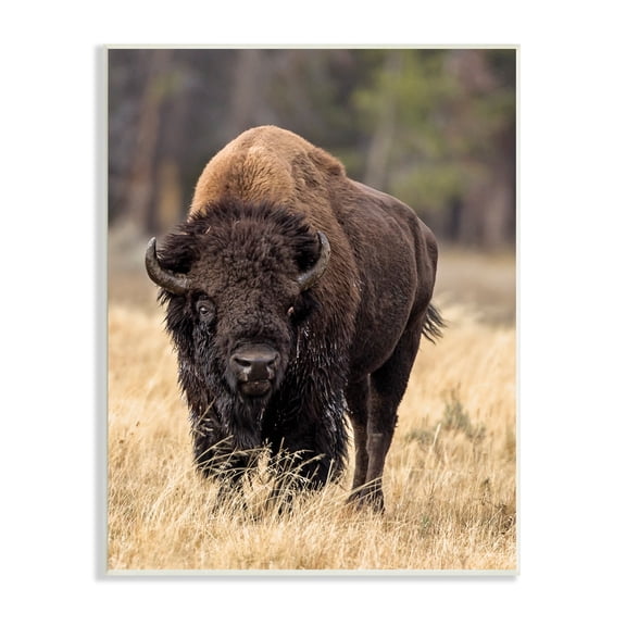 Stupell Industries Wild American Bison Grazing Rustic Tall Grass, 10 x 15, Designed by Larry McFerrin